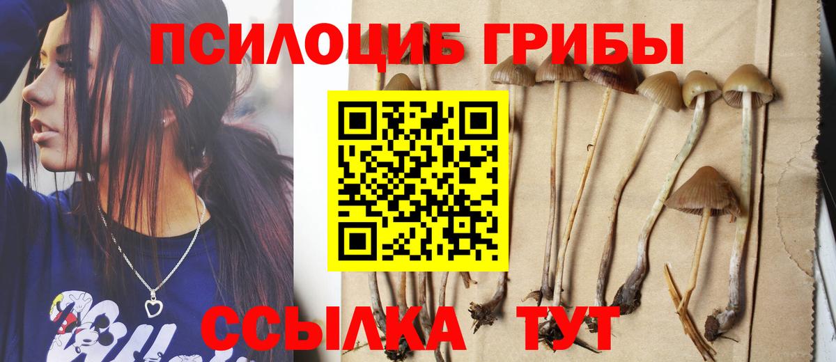 Рязань  Псилоцибиновые грибы прущие грибы  Вход с VPN 
